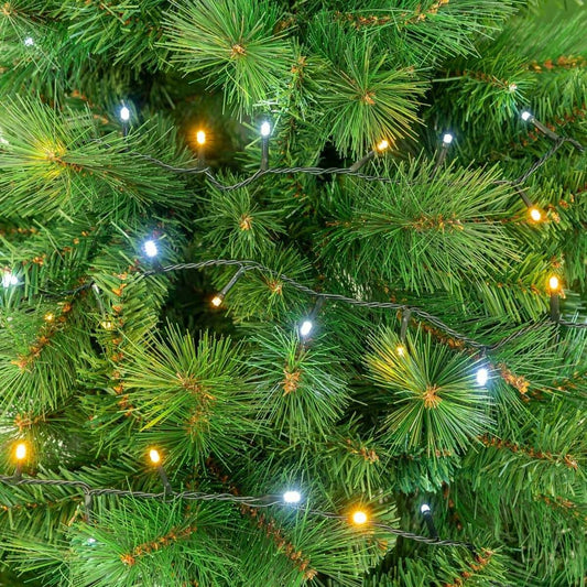 V5H38906228D516ECFA59E7E7FCDD58F3C5R5160439P2