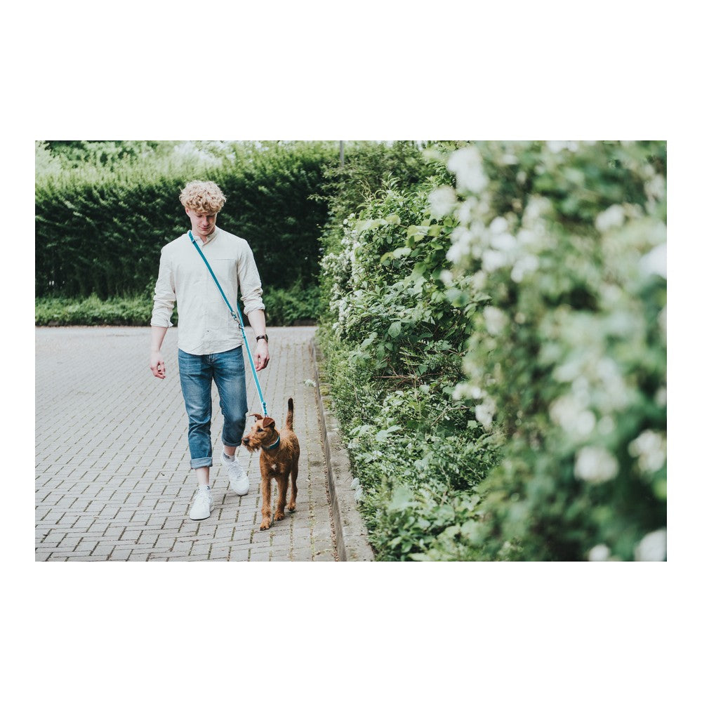 Hundeleder Hunter HILO Lime (200 cm)
