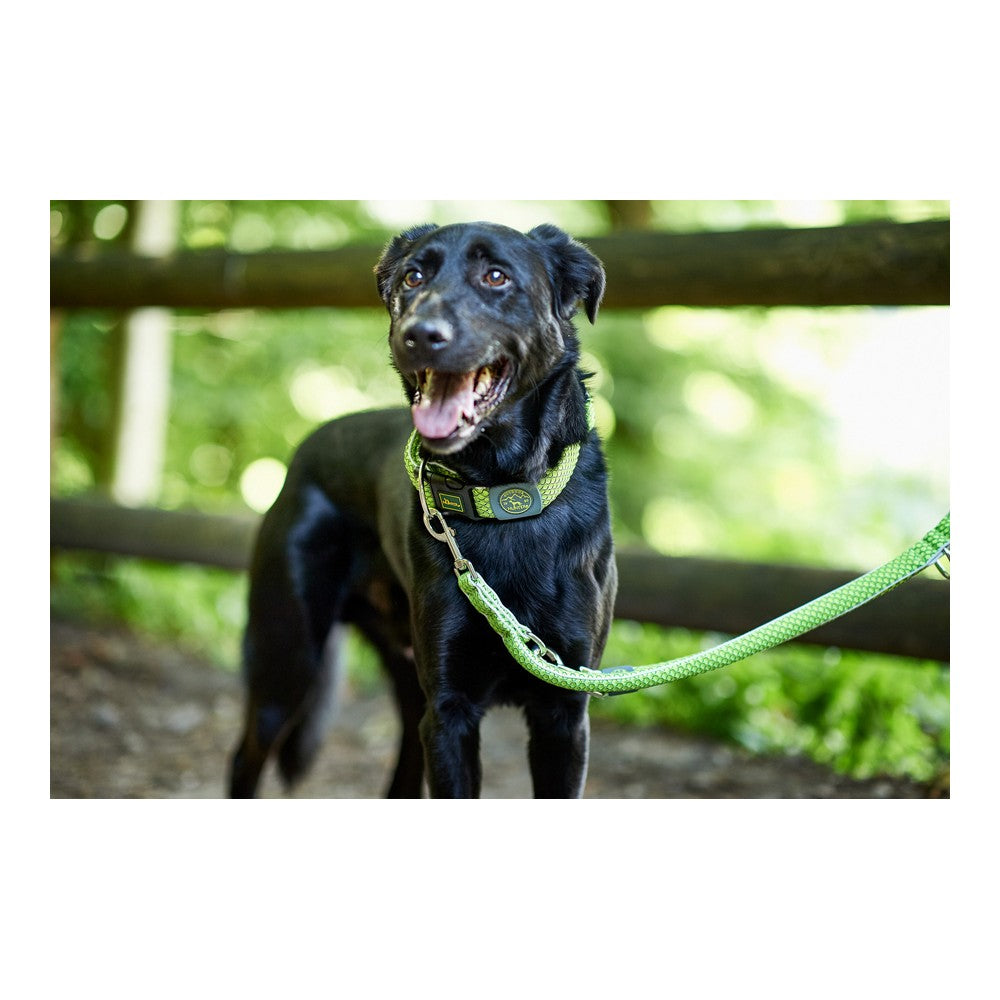 Hundeleder Hunter HILO Lime (200 cm)
