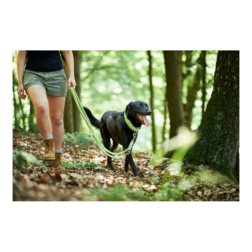 Hundeleder Hunter HILO Lime (200 cm)