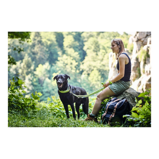 Hundeleder Hunter HILO Antrasitt (200 cm)