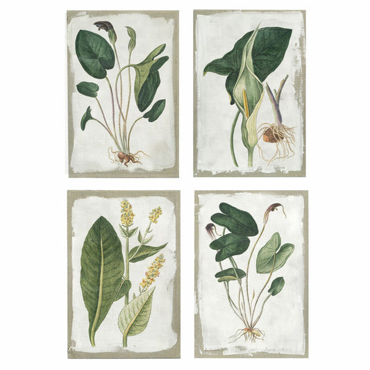 Maleri DKD Home Decor Læret Botaniske planter (4 pcs) (40 x 3 x 60 cm)